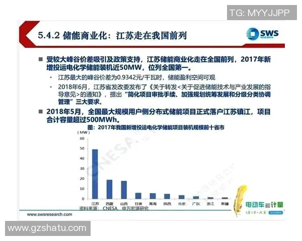 足球明星成长轨迹分析与未来发展趋势探讨